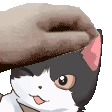 Alexus' Cat Café