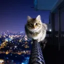 Cool friends server Discord server icon