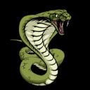 ChriSnake icon
