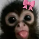 Server da eshiikk Discord Server Icon