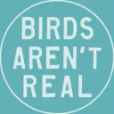 Birds Aren't Real