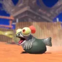 scrims/pick up for comp_SPL