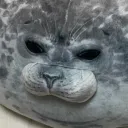 ぽとちゃんのお部屋