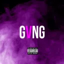 12 GVNG