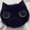 cats & chats ™
