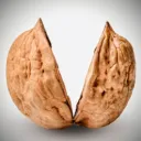 🌰The Nutshell Mafia🌰