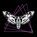 The Miskatonic Cocoon