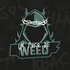 Canal de Unpocodeweed