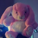 • ʟᴜɴᴀʀ ᴄɪᴛʏ •