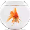 Little Fishies