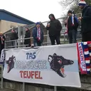 TASmanische Teufel