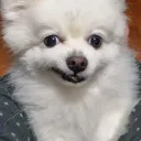캌페인