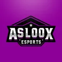 ASLOOX CONSOLE CUSTOMS