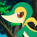 Snivy Smug Zone
