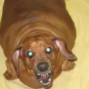 🔥 FaZe GrAnDmA GaMiNg 🔥's icon