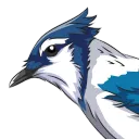 Bluejay
