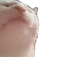 𝓜 𝓐 𝓕 𝓐 𝓛 𝓐 𝓝 𝓓