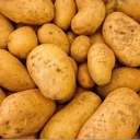 Potato Cult