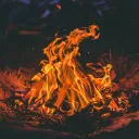 The Senior Camp