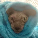 Королевство тьмы [Второй сезон]