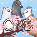 Companion Pigeon Chat