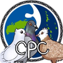 Companion Pigeon Chat