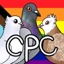Companion Pigeon Chat
