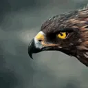 𝔼𝕒𝕘𝕝𝕖 𝕋𝕍