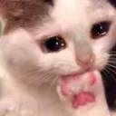 ด่าได้ยัง หนูพร้อมแล้ว