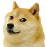 Doge Land