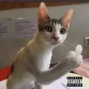 Recommend your music