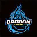 DRAGON GAMING ZONE (DGZ)'s icon