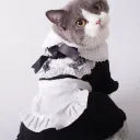 CaptainSparklez Cat Maids