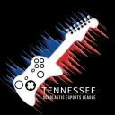 TN Scholastic Esports League