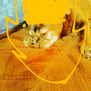 DragonBall RP: The Archives. Server Icon