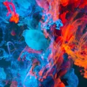 Davidutzuu Gaming's Community's icon