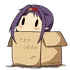 Zekken's Server
