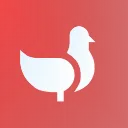 Pigeon DAO | Decentralised Courier Protocol