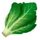 dropdeadgarden