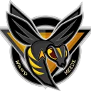 Wasp  🐝