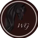 Wicked Guards『𝘖𝘚 』