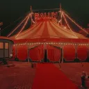 The Circus