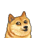 NfDoge's server