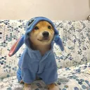 blue