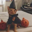 ⋆｡˚ valentine (revamp) Discord Server Icon