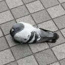上から見た二等辺三角形