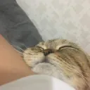 팡부우우우웅