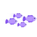 ✨Noraa's Fishies✨