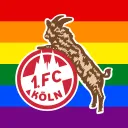 1. FC Köln - Fanpage Discord Server Icon