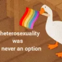 🌈Duckie Family🌈